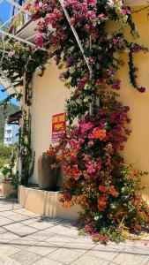 LV Homestay
