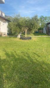 Guesthouse Oasis
