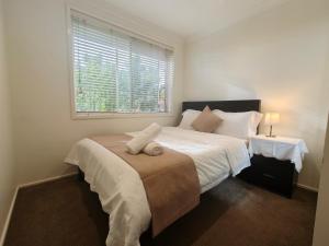 Sydney Bright Double Room O Winston Hills Single Room room