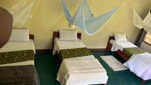 Royal South Luangwa Safaris Lodge