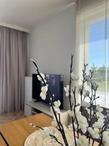Pino SeaView