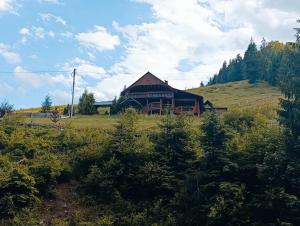 Лісовик