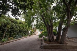 Casa Vignali country house