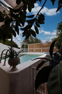Casa Vignali country house