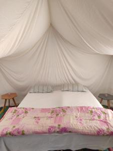 Campement Sahara Oasis Douz