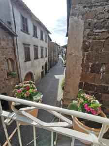 Il cammino degli Etruschi