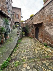 Il cammino degli Etruschi