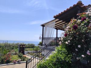 Thea Panorama