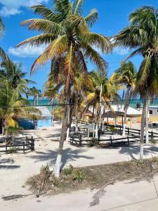Costa Esmeralda, few steps from beach and centre