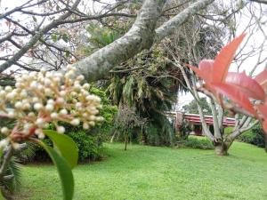Fortin Tostado