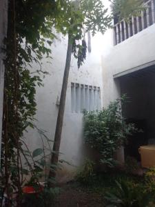 Magram House