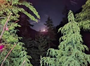 Alpine heaven forest view cottage jibhi,