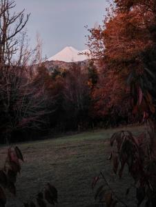 Cabaña La Petita
