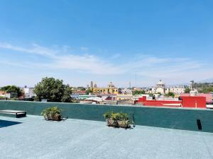Loft #104 en Centro Histórico con Terraza Compartida y Patio Privado