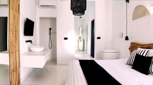 Trodiki Villas for 6 guests in Mykonos
