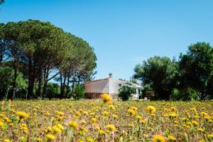 Casa P - Relax nel verde a Ezzi Minori