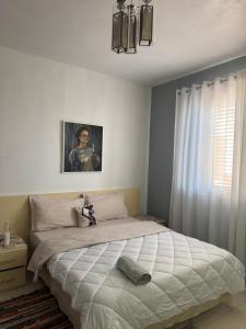 Host Apartments