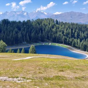 Casa Roby - Marilleva 1400 in Val di Sole