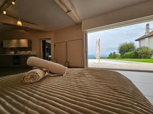 Maisonette with a view near CERN, Palexpo and Airport