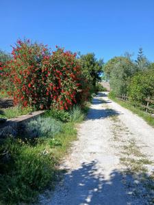 B&B Da Mariella