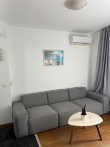 Apartment Veselin