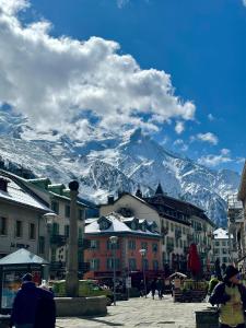 Chamonix studio vue Montblanc - Jardin terrasse et parking