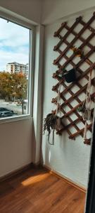 Studio Apartment Fico