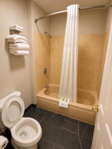 Ozark Inn & Suites
