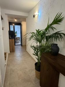 Casa Natali 1