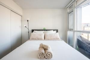 Downtown Toronto apartment