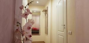 Perfect Studio in Narva center