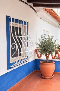Uma Casa no Campo