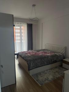 Momo Apartament