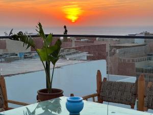 White Pearl Surf & Yoga House Morocco