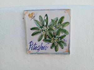 CASA Pitosforo CASA Ulivo