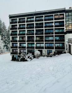 Kaiser Retreat Ski-In Ski Out & Summer Paradise