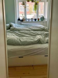 Flat With Courtyard In Former Shop