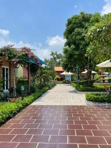 Melalueca tay ninh