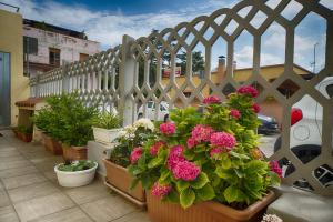 Casa Lucia 2 img14
