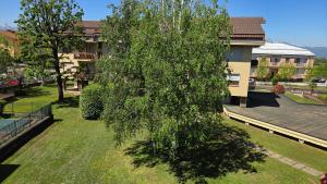Giulietta Apartment Cuneo