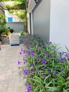 Ocean Pearl Villa Vũng Tàu