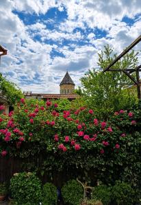 VILLA SABA WITH TWO BEDROOMS- სასტუმრო საბა