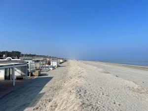 Pineta Mare