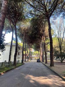 Pineta Mare