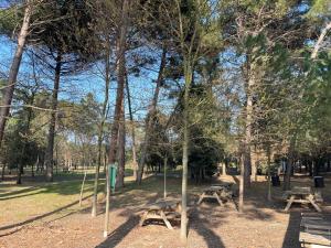 Pineta Mare