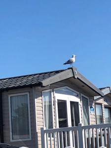 Coastal Comfort at 168 juniper close