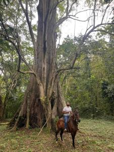 Kua Entre Ríos - Finca privada en el Rio La Miel