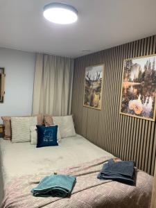 Czarny Koń i Biały Koń Black Horse & White Horse Apartamenty