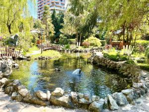 Beach Dreamland Oasis
