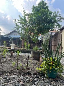Rumasu Homestay
